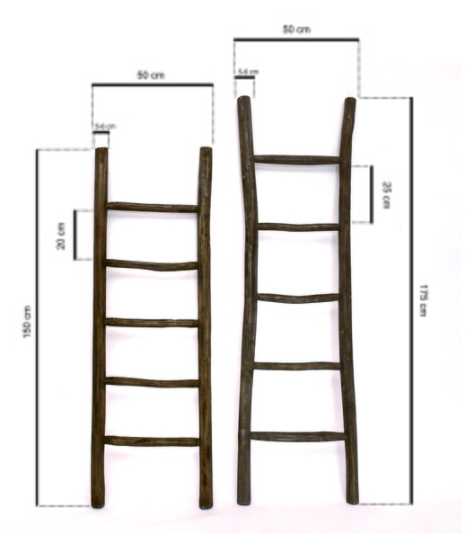 Teakhouten decoratie ladder | Rustiek Bruin | 50x5x150 - TK-DL-50x5x150-RUSTIEK-BRUIN - view 4