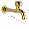 Gouden Tapkraan Shenley | Muuraansluiting 1/2” | 17.5 lang - WM5019