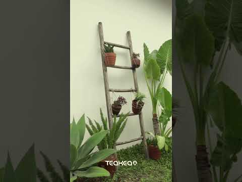 Teakhouten decoratie ladder Rustiek Bruin | 50x5x175 - view 4
