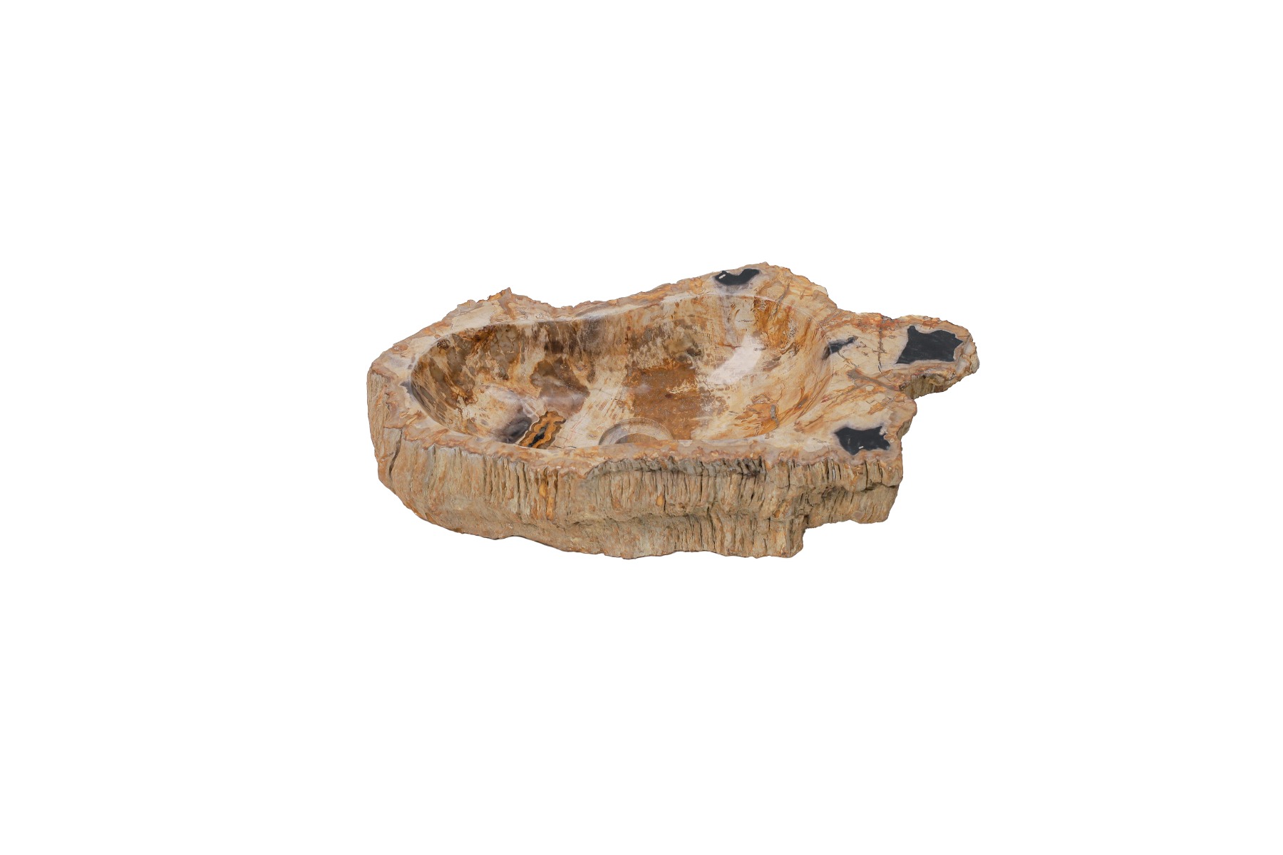 Versteende houten waskom Teakea 54x29x12 cm - ruim, stijlvol en natuurlijk badkamerdesign. - alternate view Versteende houten waskom Teakea 54x29x12 cm - ruim, stijlvol en natuurlijk badkamerdesign. - alternate view