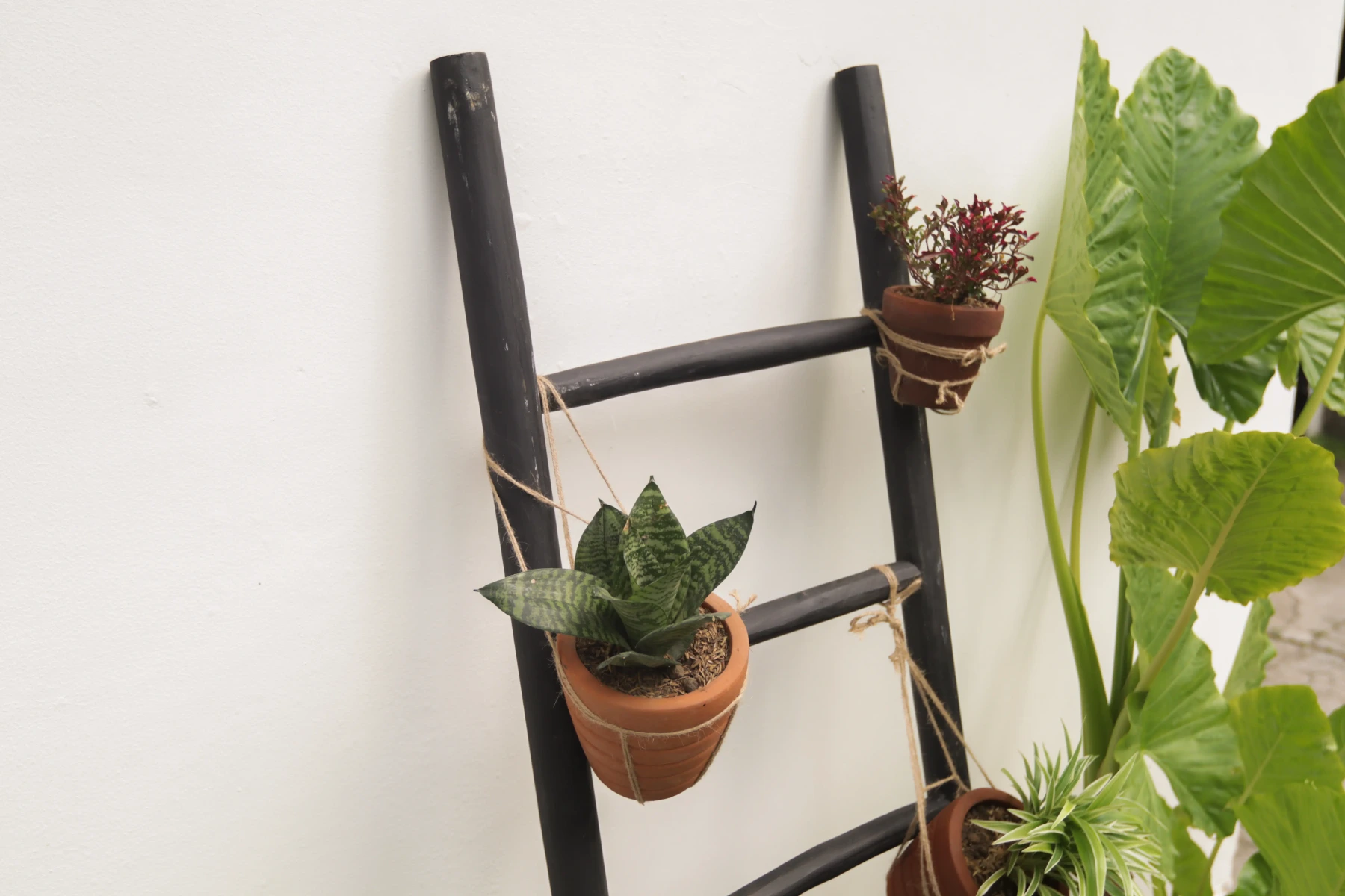 Een matzwarte houten decoratieladder, 150 cm hoog, 50 cm breed en 5 cm diep. De ladder heeft meerdere sporten met gelijkmatige tussenruimtes en staat licht hellend voor stabiliteit. De afwerking is glad en egaal, wat het minimalistische design benadrukt.  - view 3