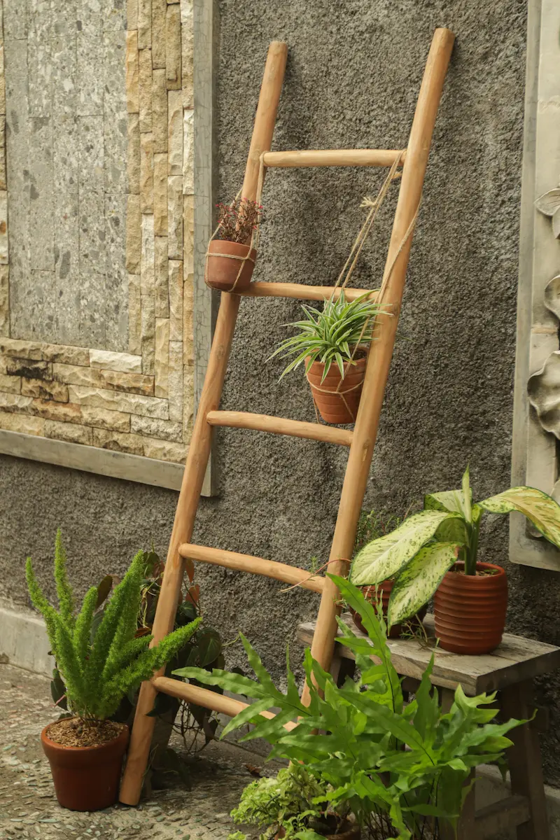 Natuurlijke teakhouten decoratieladder, met een hoogte van 150 cm, een breedte van 50 cm en een diepte van 5 cm. De ladder heeft diverse horizontale sporten, gelijkmatig verdeeld over de lengte, en staat licht hellend voor extra stabiliteit. Het onbehande - alternate view