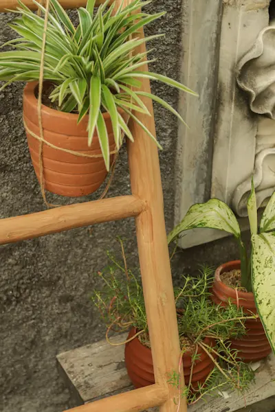 Natuurlijke teakhouten decoratieladder, met een hoogte van 150 cm, een breedte van 50 cm en een diepte van 5 cm. De ladder heeft diverse horizontale sporten, gelijkmatig verdeeld over de lengte, en staat licht hellend voor extra stabiliteit. Het onbehande - view 4