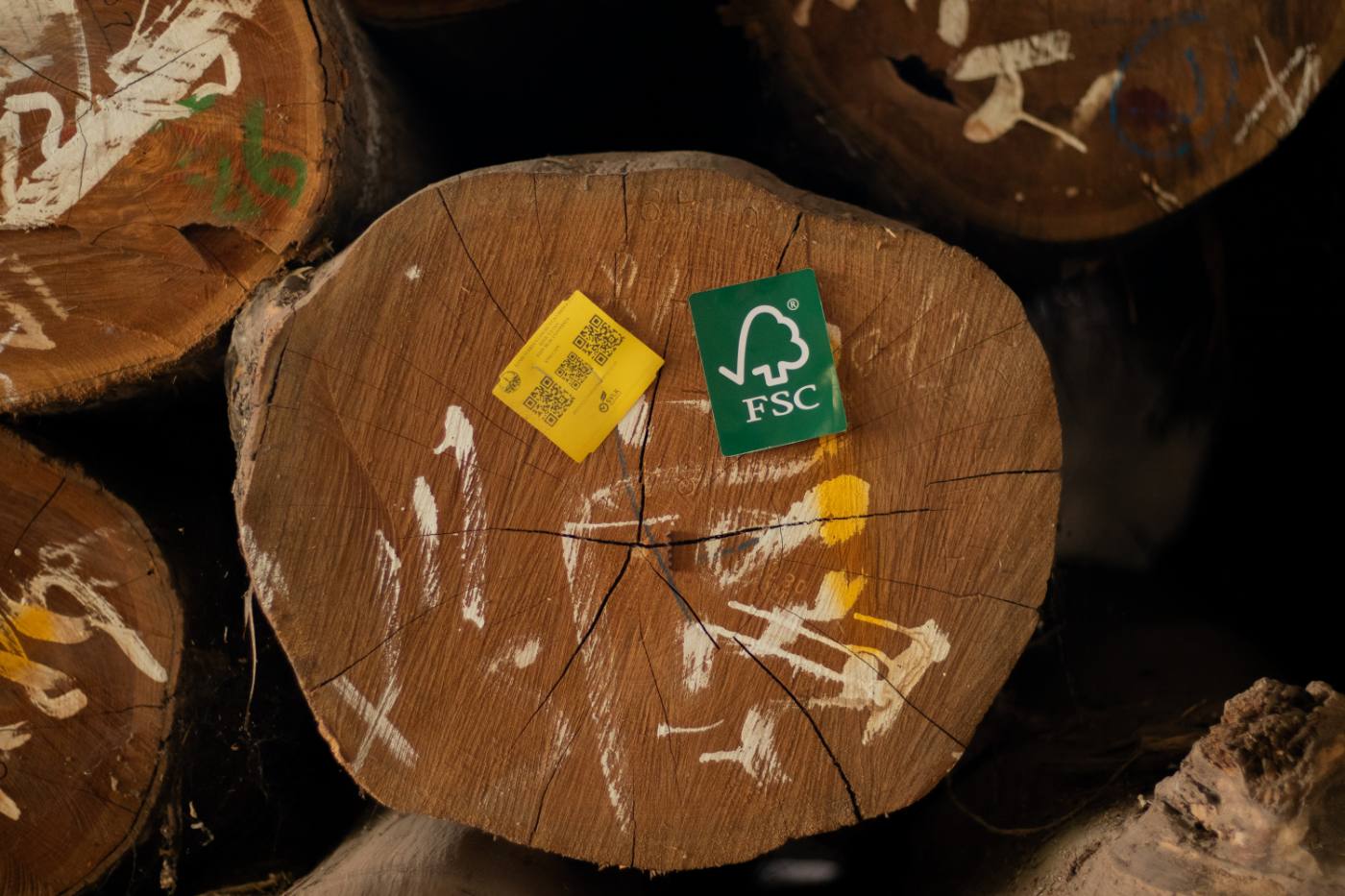 Fsc showroom - Teakea Gestapelde boomstammen met een FSC-label, herkomst van het hout voor Teakea meubels